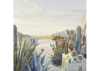 Dean West Still Life #1, Desert Oasis